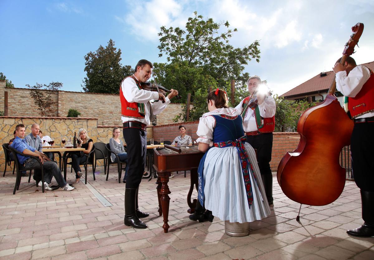 Hotel Vinopa Hustopeče Екстериор снимка